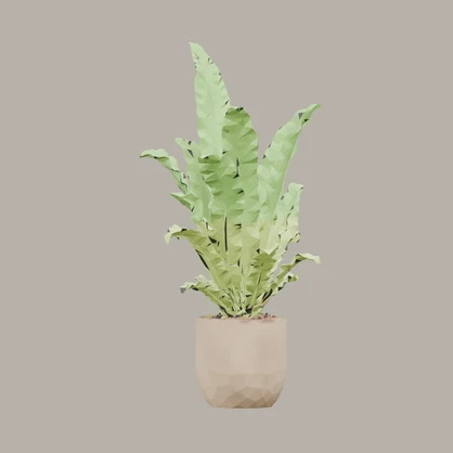 【3Dモデル】観葉植物 / シマオオタニワタリ / Bird's nest fern （OBJ・LWO）
