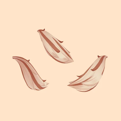 【エクちゃん専用】しっぽ用メッシュ