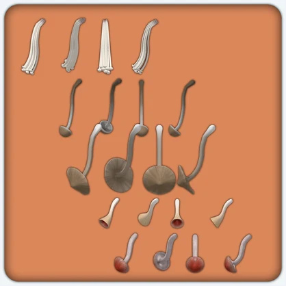 【VRChat想定】キノコテール/Fungus Cauda v1.0.0【5種類セット】