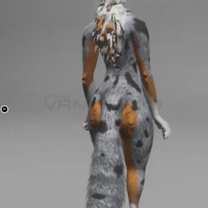 Australian Shepherd Rex Texture