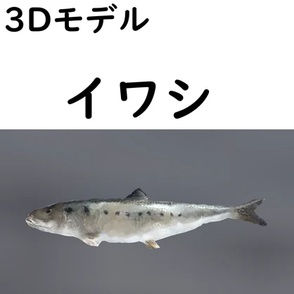 イワシ【VRChat想定】