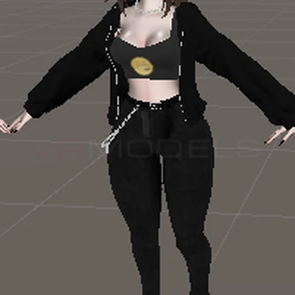 sam v2