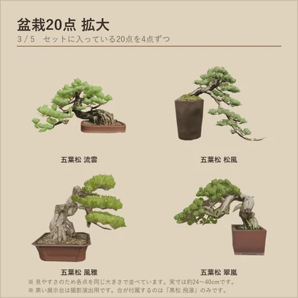 盆栽20点＋盆栽棚32種セット｜VRChat向け和風3D置物・全部入り【ワールド装飾】