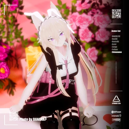 LE-C-01 MAID DRESS