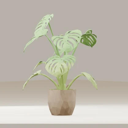 【3Dモデル】観葉植物 /モンステラ・デリシオーサ Monstera deliciosa（OBJ・LWO）