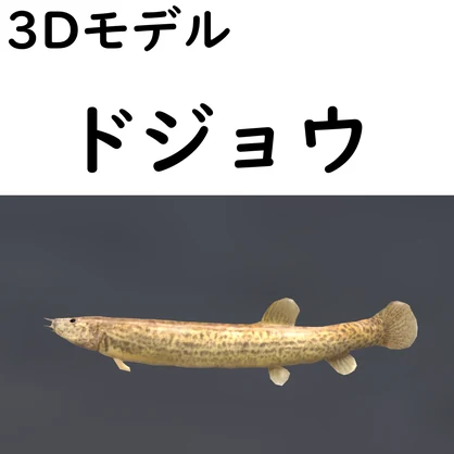ドジョウ【VRChat想定】