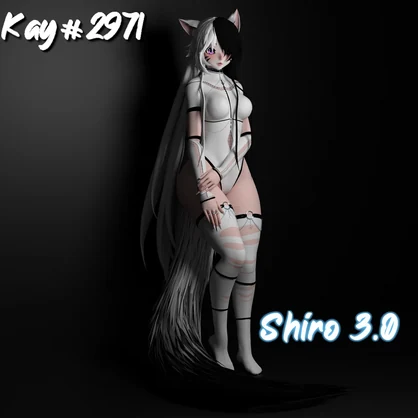 Shiro 3.0