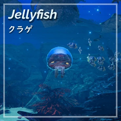 JELLY FISH