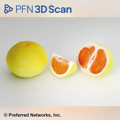 【PFN 3D Scan】グレープフルーツ（3点セット）