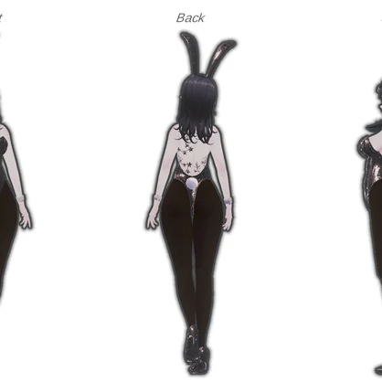 慧梨花-Erica-専用衣装　Night Bunny【VRchat】