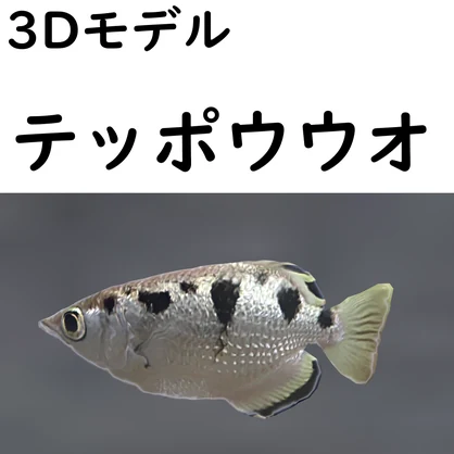 【48時間限定無料】テッポウウオ【VRChat想定】