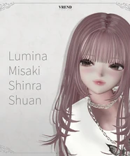 SilkVeilHair