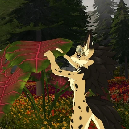 Leo Novabeast Texture