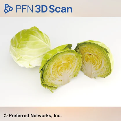 【PFN 3D Scan】キャベツ（3点セット）