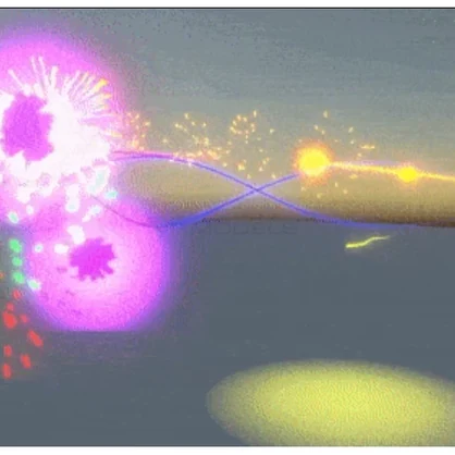 Xevian's Firework Bundle