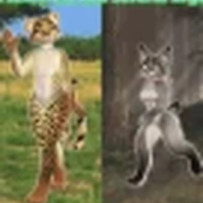 Kiggy Couple V2 Tall Body