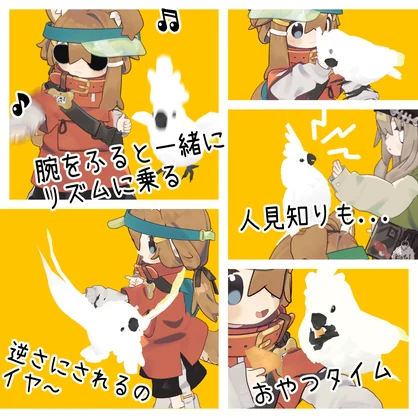 ★販売開始セール中★【追従ペット】ペットのオウム【MA対応】