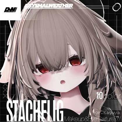 【輝夜専用】STACHELIG Makeup＆EyeTexture