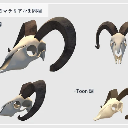 【3Dモデル】動物の頭蓋骨 (VRChat想定)