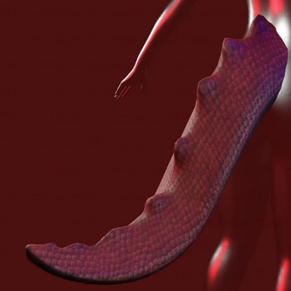Dragon Tail