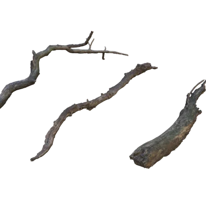 dry_branch
