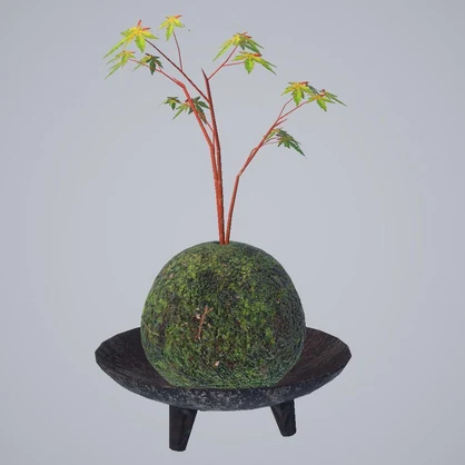 【無料版アリ】苔玉 -紅葉（もみじ）-