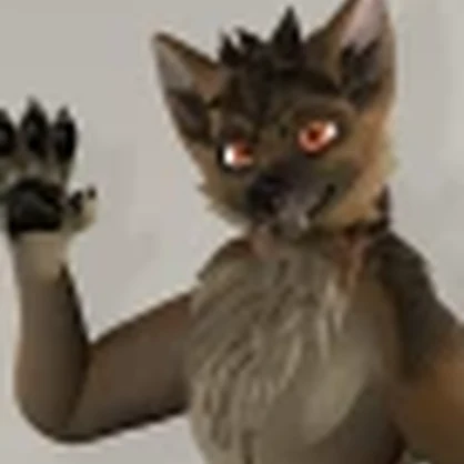 Canis revamp