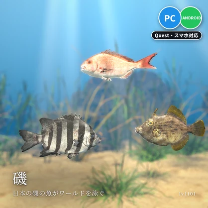 【VRChatワールド用】泳ぐ磯の魚3種「磯」マダイ・イシダイ・カワハギ【PC/Quest対応】