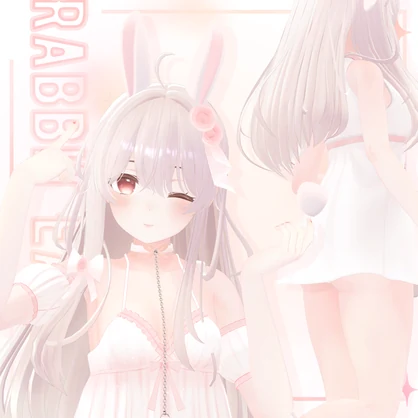 ‧₊⁺ Rabbit Ears ＆ Tail ‧₊⁺