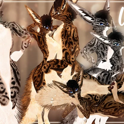 ♡ Wild ♡ Rexouium textures