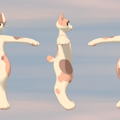 Cat avatar