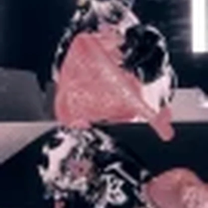 ╭┈ヾShisù