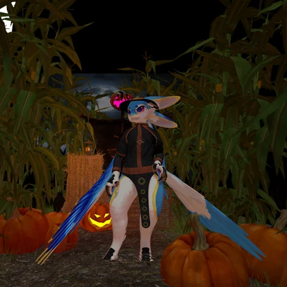 Vivali Witch Costume