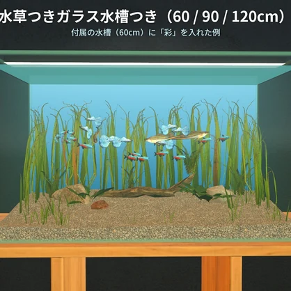 【VRChatワールド用】泳ぐ熱帯魚3種「彩」グッピー・ネオンテトラ・ソードテール【PC/Quest対応】