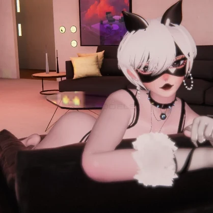 Mier the Black Cat