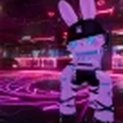 Techwear Bunny