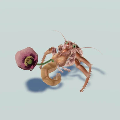 VRC向け３Dアバター「ヤドカリ　Harmit Crab」