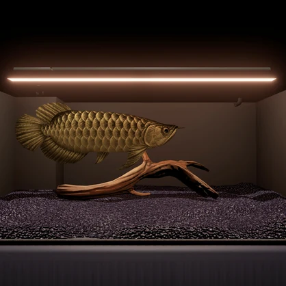 【UPDATE : 2026/09/18】アロワナ水槽アセット-Ver2 / Arowana Aquarium Set (Unity URP) – Animated Fish