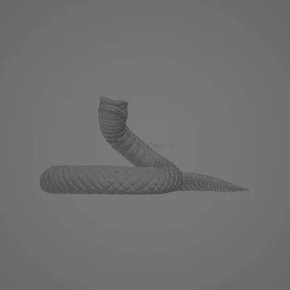 Sasukes Snake