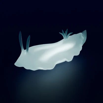【Blender】 ウミウシの間接照明 Indirect lighting for sea slugs