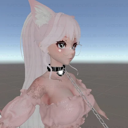 고양이