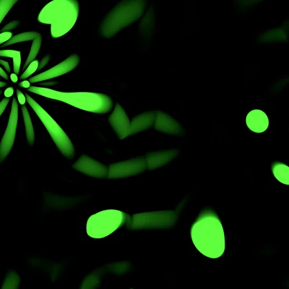Fractal Spiders