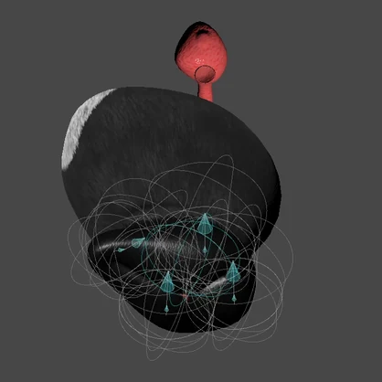 Furry Pussy [For VRchat]