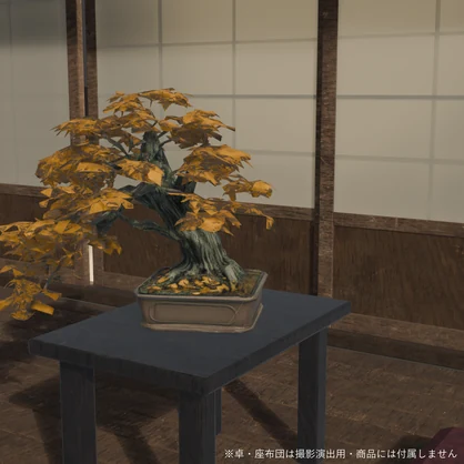 盆栽 モミジ 金雲｜VRChat向け和風3D置物・黄葉／晩秋【ワールド装飾】