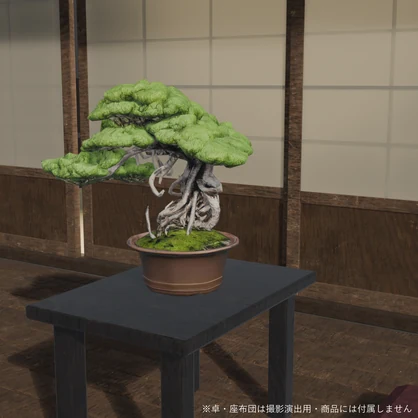 盆栽 黒松 蟠龍｜VRChat向け和風3D置物・力強く捻れる露出根【ワールド装飾】