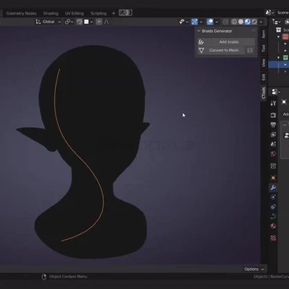 Braids Generator
