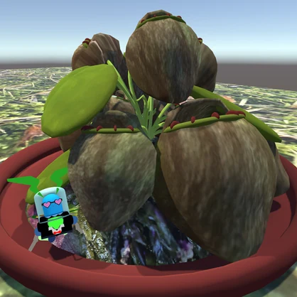【無料】植物3Dモデル　セファロタス・フォリキュラリス　和名:フクロユキノシタ