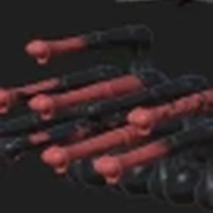 ZQuine Penis