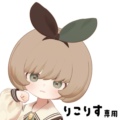 【りこりす専用】りんごへあー