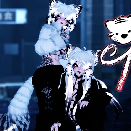 Tora